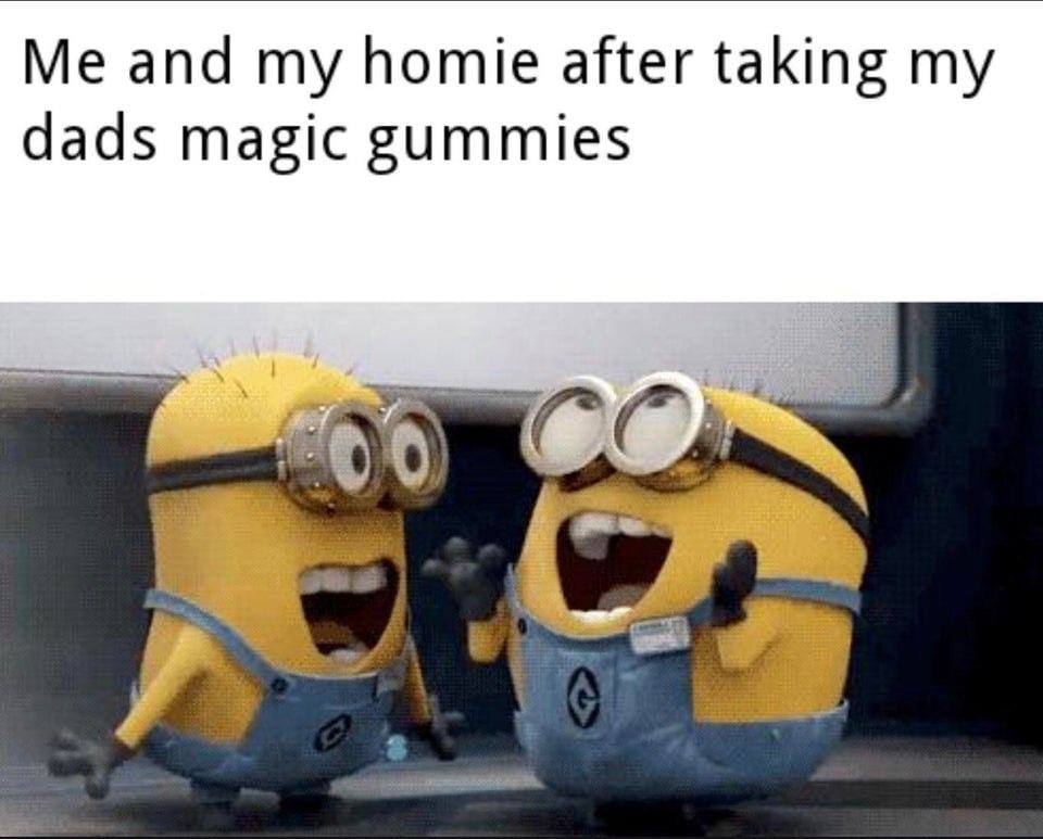 Me And My Homie After Taking My
Dads Magic Gummies
