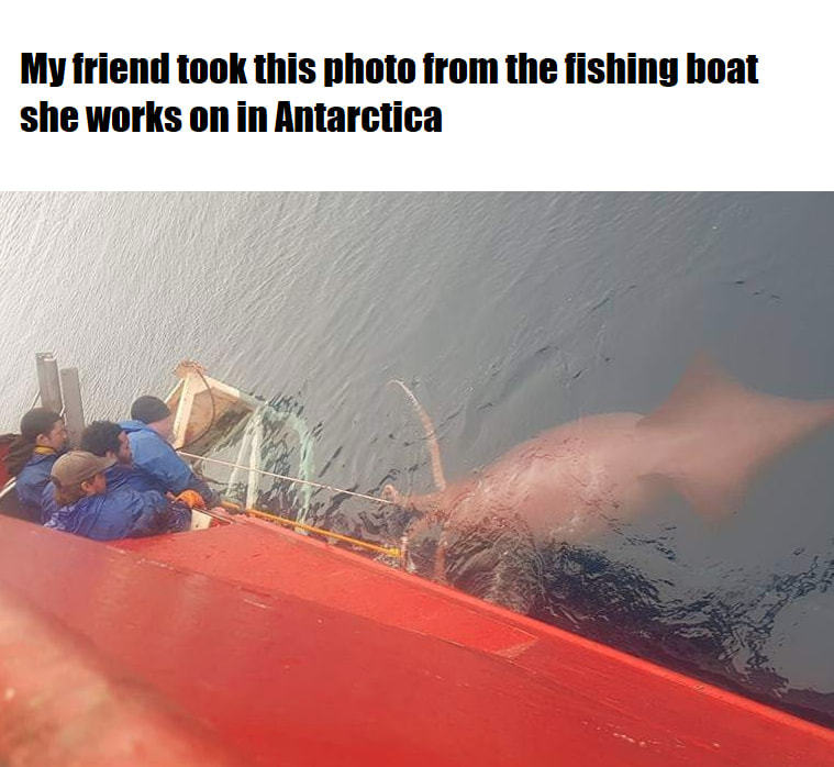 MY Friend Took This Photo Trom The Fishing Boat
She Works On In Antarctica
