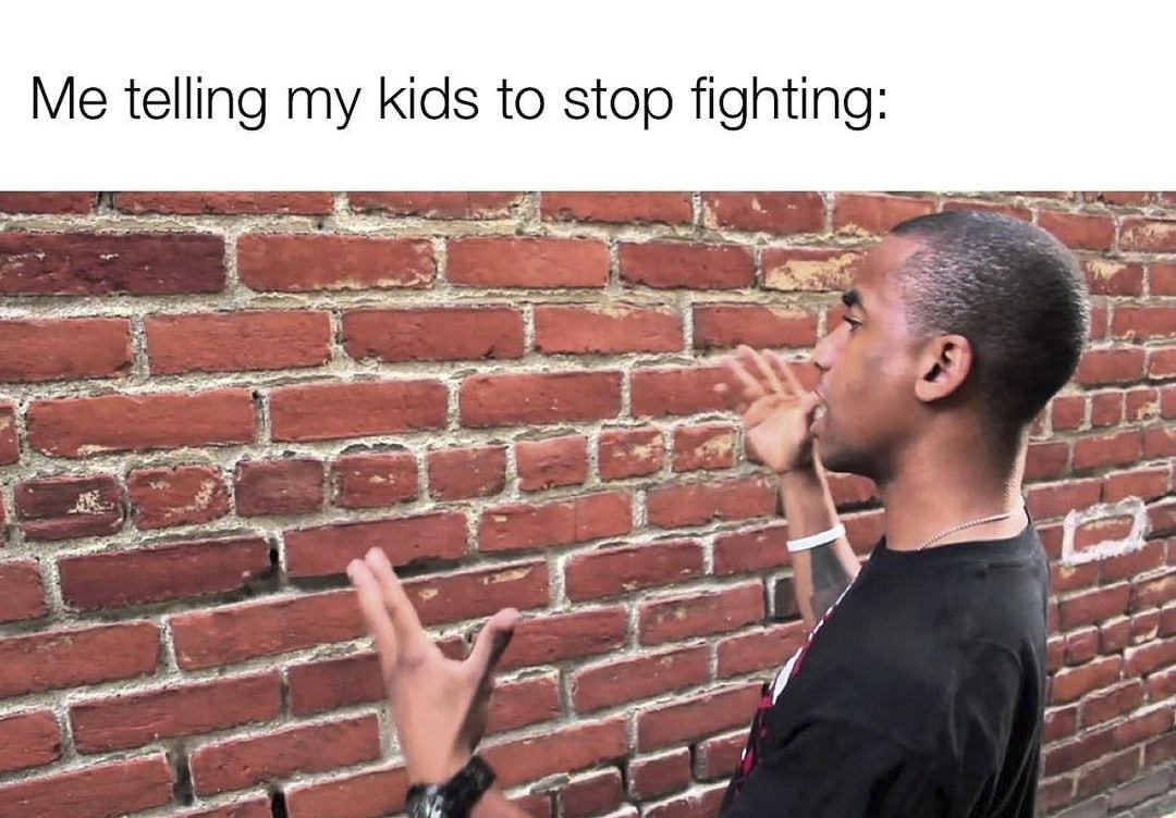 Me Telling My Kids To Stop Fighting:
