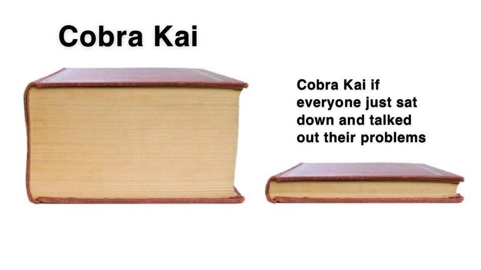 Cobra Kai
Cobra Kai If
Everyone Just Sat
Down And Talked
Out Their Problems
