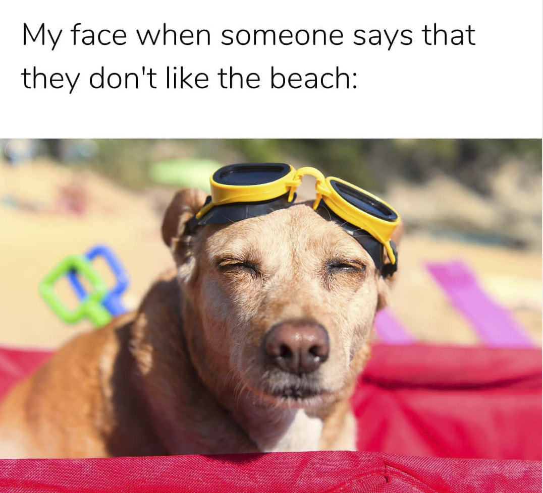 My Face When Someone Says That
They Don't Like The Beach:

