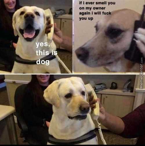 If I Ever Smell You
On My Owner
Again I Will Fu
You Up
