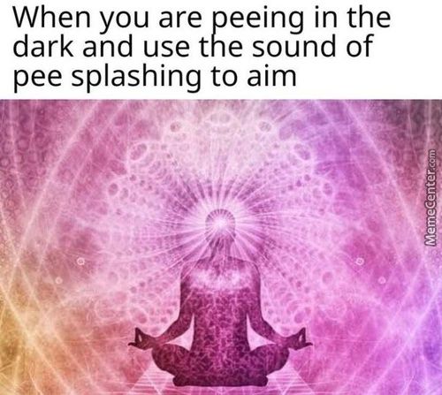 When You Are Peeing In The
Dark And Use The Sound Of
Pee Splashing To Aim
