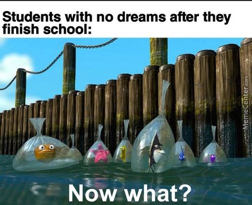 Students With No Dreams After They
Finish School:
Now What?
