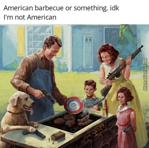 American Barbecue Or Something. Idk
I'm Not American
