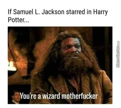 If Samuel L. Jackson Starred In Harry
Potter...
Ou Re A Wizard Motherfucker
