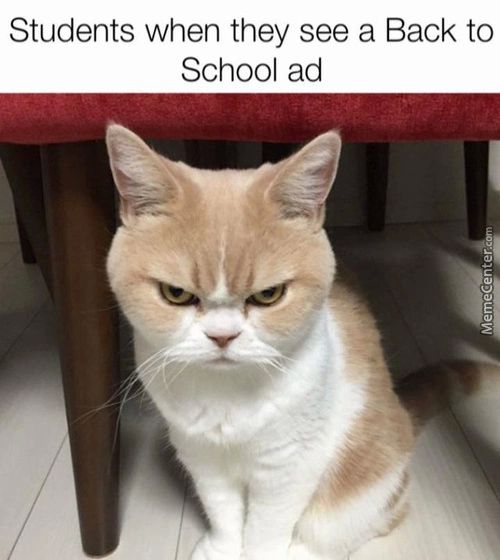 Students When They See A Back To
School Ad
