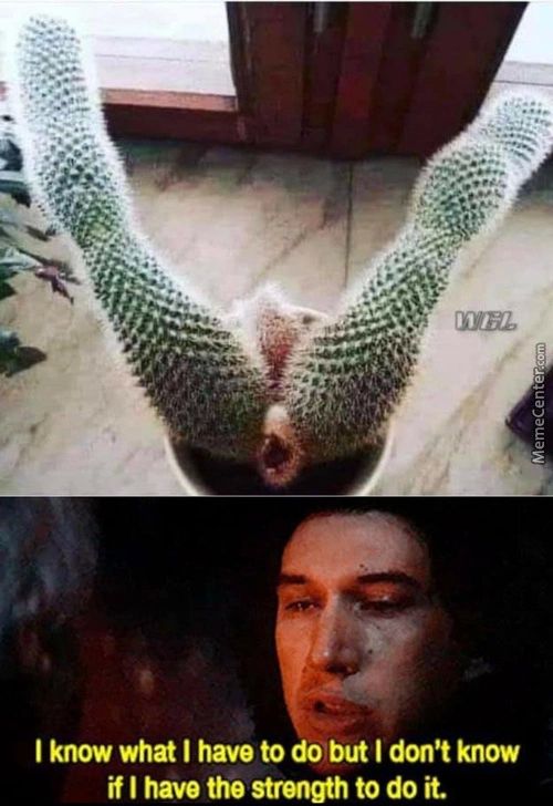 I Know What I Have To Do But I Don't Know
If I Have The Strength To Do It.
