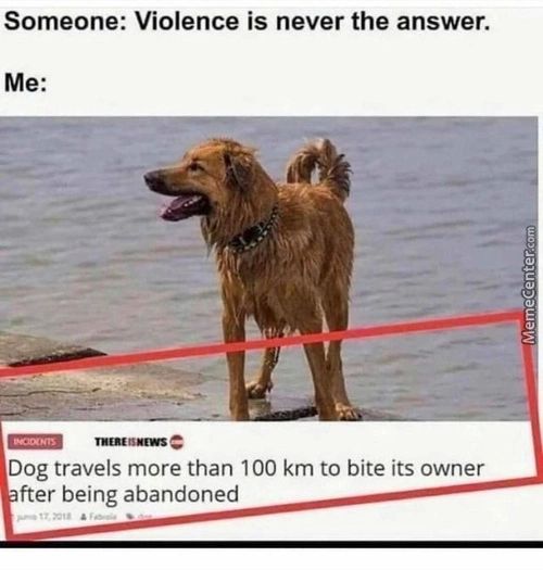 Someone: Violence Is Never The Answer.
Me:
Dog Travels More Than 100 Km To Bite Its Owner
Fter Being Abandoned
