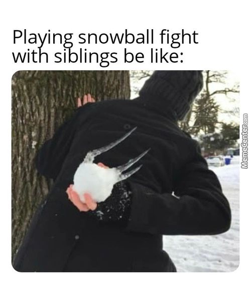 Playing Snowball Fight
With Siblings Be Like:
