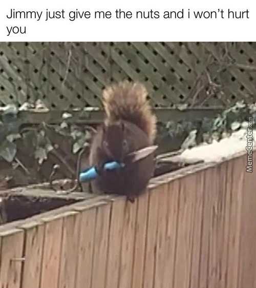 Jimmy Just Give Me The Nuts And I Won't Hurt
You
