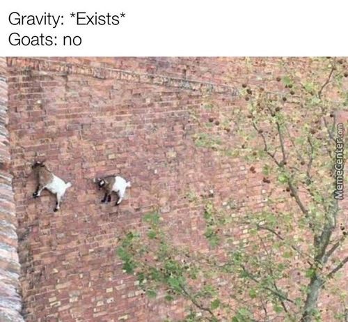 Gravity: *Exists*
Goats: No
