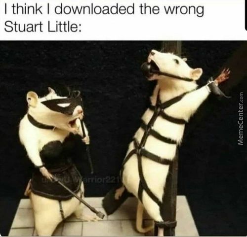 I Think I Downloaded The Wrong
Stuart Little:
I!
