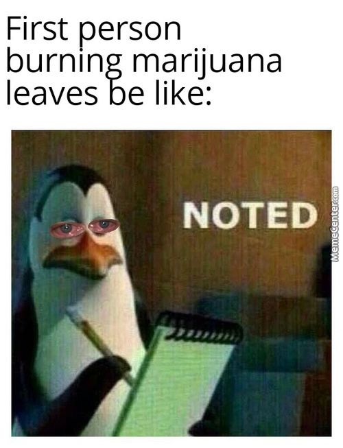 First Person
Burning Marijuana
Leaves Be Like:
NOTED
