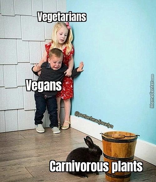 Vegetarians
Vegans
Carnivorous Plants
