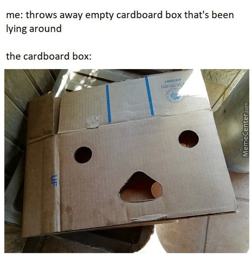 Me: Throws Away Empty Cardboard Box That's Been
Lying Around
The Cardboard Box:
