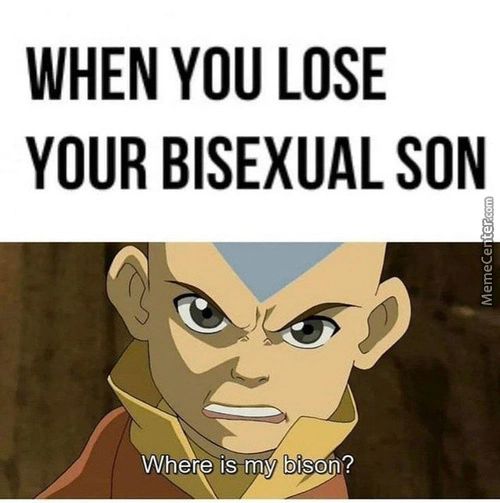 WHEN YOU LOSE
YOUR BISEXUAL SON
Wherecis My Bison?
