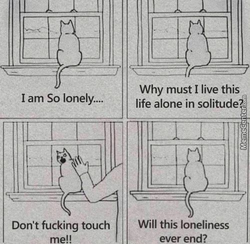I Am So Lonely....
Don't Fucking Touch
Me!!
Why Must I Live This
Life Alone In Solitude
Will This Loneliness
Ever End?
