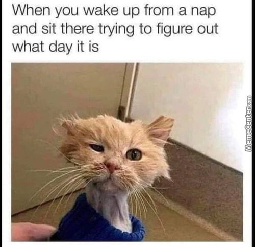 When You Wake Up From A Nap
And Sit There Trying To Figure Out
What Day It Is
