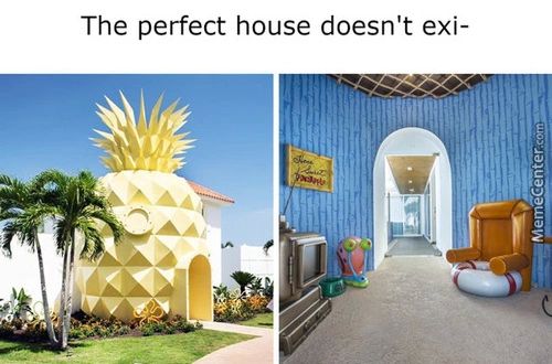 The Perfect House Doesn't Exi-
