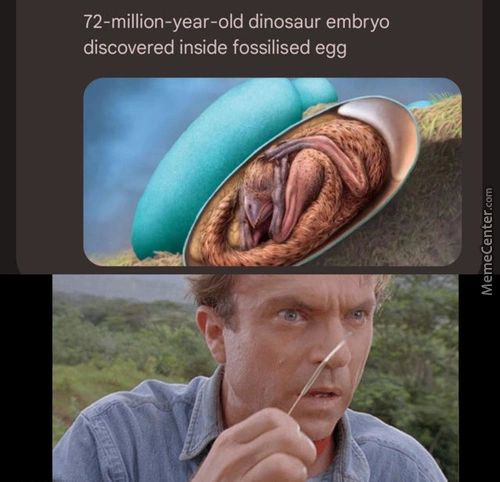 72-million-year-old Dinosaur Embryo
Discovered Inside Fossilised Egg
