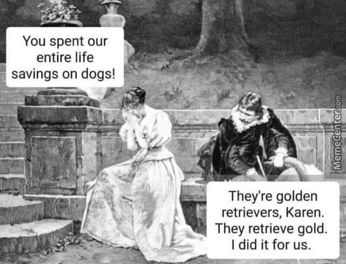 You Spent Our
Entire Life
Savings On Dogs!
They're Golden
Retrievers, Karen.
They Retrieve Gold.
I Did It For Us.
