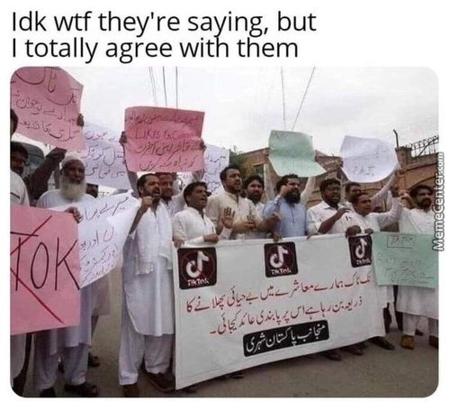 Idk Wtfthey're Saving, But
I Totally Agree With Them
