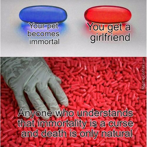 EYourepet
4becomes
Immortal
TQat Immortalit
•you Get*a
Girlfriend
And Death Is Onjly NÅturål
