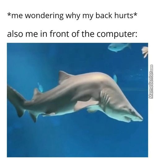 *me Wondering Why My Back Hurts*
Also Me In Front Of The Computer:
