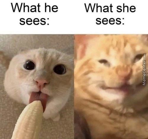 What He What She
Sees:
Sees:
