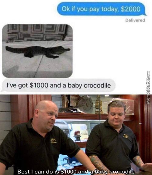 0k If You Pay Today, $2000
Delivered
I've Got $1000 And A Baby Crocodile
Best I Can Do I
1000
