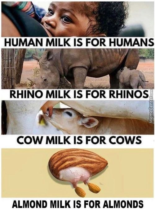 HUMAN MILK IS FOR HUMANS
RHINO MILK IS FOR RHINOS
COW MILK IS FOR COWS
ALMOND MILK IS FOR ALMONDS

