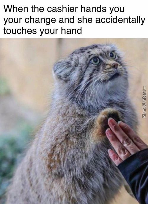 When The Cashier Hands You
Your Change And She Accidentally
Touches Your Hand
