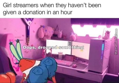 Girl Streamers When They Haven't Been
Given A Donation In An Hour
Oops; 'dro Ped Son Ething
