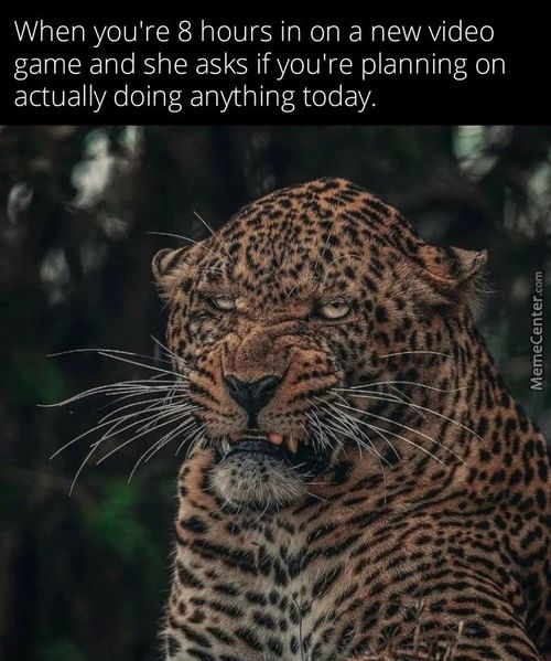 When You're 8 Hours In On A New Video
Game And She Asks Ifyou're Planning On
Actually Doing Anything Today.
