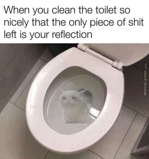 When You Clean The Toilet So
Nicely That The Only Piece Of Shit
Left Is Your Reflection
