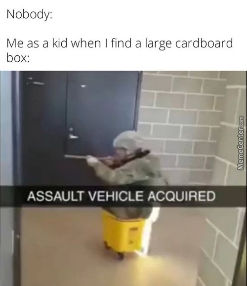 Nobody:
Me As A Kid When I Find A Large Cardboard
Box:
ASSAULT VEHICLE ACQUIRED
