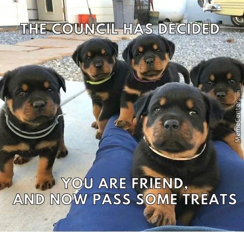 .JHE.CO-UNCIL HA DEE(DÉD
YOU ARE FRIEND,
NOW PASS S E ME TREATS
