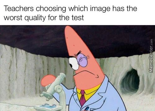 Teachers Choosing Which Image Has The
Worst Quality For The Test
