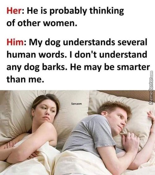 Her: He Is Probably Thinking
Of Other Women.
Him: My Dog Understands Several
Human Words. I Don't Understand
Any Dog Barks. He May Be Smarter
Than Me.
