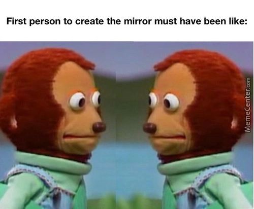 First Person To Create The Mirror Must Have Been Like:
