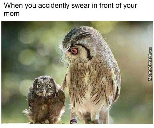 When You Accidently Swear In Front Of Your
Mom
