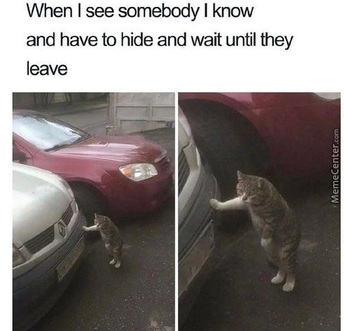 When I See Somebody I Know
And Have To Hide And Wait Until They
Leave
