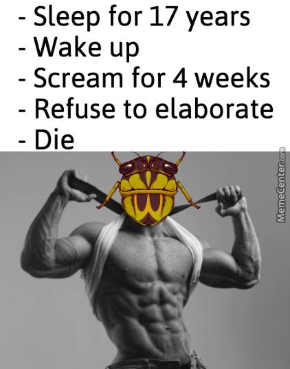 - Sleep For 17 Years
Wake Up
- Scream For 4 Weeks
Refuse To Elaborate
- Die
