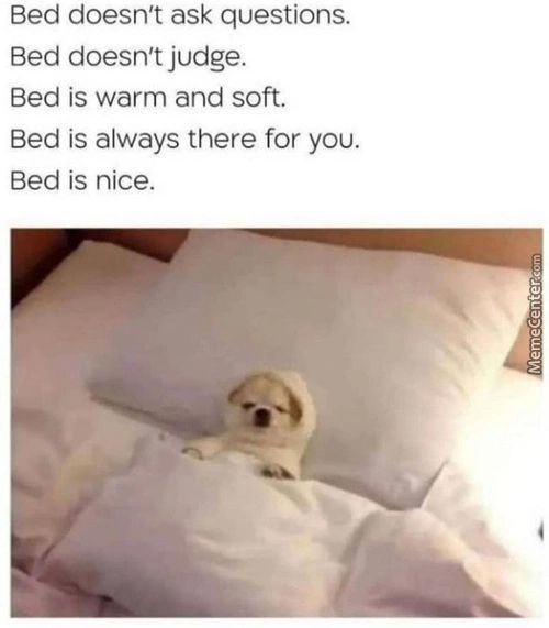 Bed Doesn't Ask Questions.
Bed Doesn't Judge.
Bed Is Warm And Soft.
Bed Is Always There For You.
Bed Is Nice.
