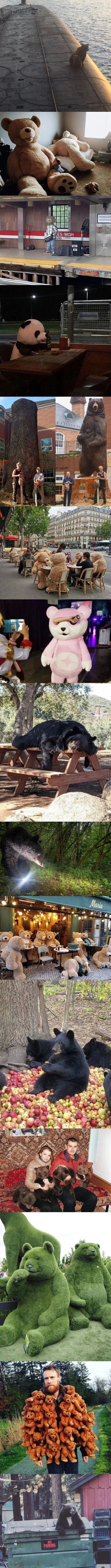 ,ES/MGH
ND
JANDARMA :
