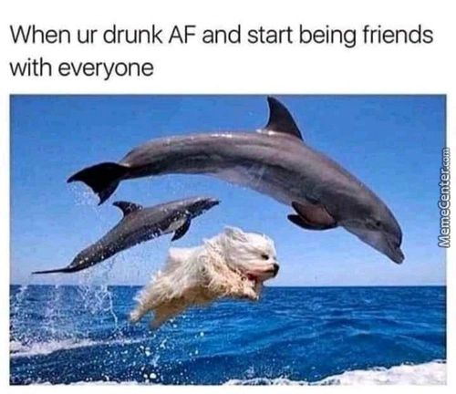 When Ur Drunk AF And Start Being Friends
With Everyone
