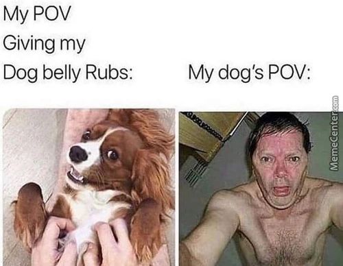 My POV
Giving My
Dog Belly Rubs:
My Dog's POV:
