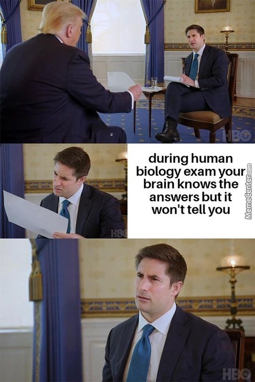 During Human
Biology Exam Your
Brain Knows The
Answers But It
Won't Tell You
