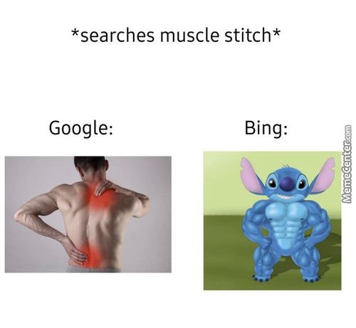 *searches Muscle Stitch*
Google:
Bing:
